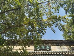 -灵谷景区
