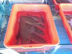 -沙头涌渔栏海鲜餐厅