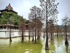 -顺峰山公园