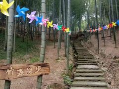 -宁波浙东大竹海景区