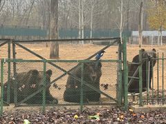 -秦皇岛野生动物园