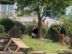 -大连森林动物园