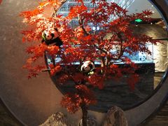-红辣椒·川菜·火锅(大洋中心店)