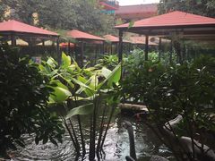 -鹅公村·国家非遗传承(荔湾店)