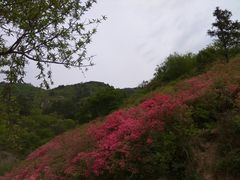 -木兰云雾山