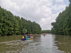 -上海海湾国家森林公园