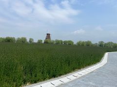 -漩门湾国家湿地公园