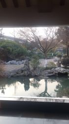 -聚贤堂中餐厅(湖滨金陵饭店店)