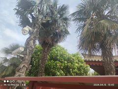 -法门文化景区