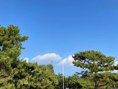 -青岛海滨风景区