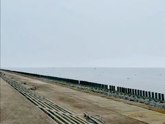 -碧海金沙