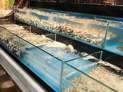 -苏格里岛自助海鲜火锅烧烤(大汉悦中心店)