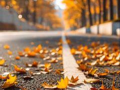 -白鹭湾湿地公园