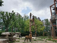 -上海野生动物园老虎餐厅