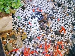 -舌尖上的食缘花园主题餐厅