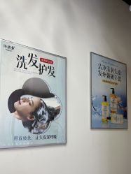 -诗碧曼养发