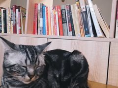 -有何Book(六堰体育馆店)