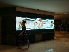 -环球梦主题KTV(曲阳生活购物中心店)