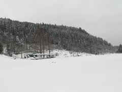 -武陵山森林公园