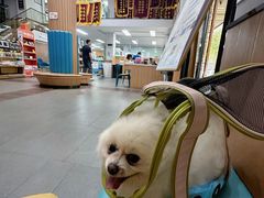 -联合动物医院(光谷诊疗中心)