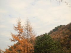 -秦岭风景区