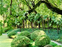 -申粤轩酒楼·三十年粤菜经典(丁香花园店)