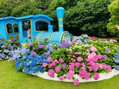 -上海滨江森林公园