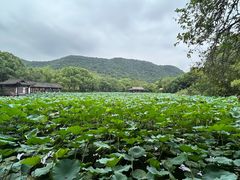 -兰亭风景区