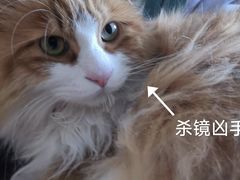 -JINS(天津大悦城店)