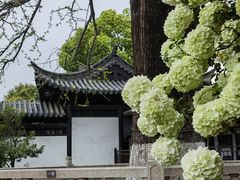 -常熟方塔园