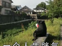 -派悦坊·甜品·蛋糕(日坛店)