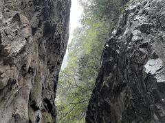 -龙湾潭国家森林公园