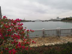 -五缘湾湿地公园