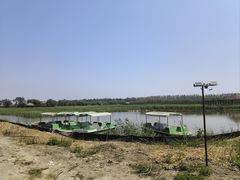 -西青郊野公园