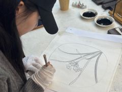 -六出私塾LiuChu•成人美术书法系统课程专业画室(熊婆婆的花园店)