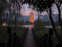 -洋湖国家湿地公园