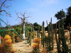 -东莞植物园