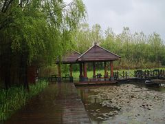 -溱湖国家湿地公园