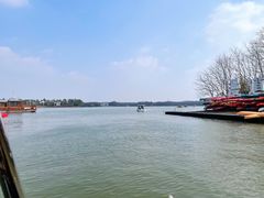 -上海海湾国家森林公园