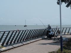 -大湾区中央湿地公园-十九涌