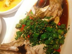 椒麻蒸桂花鱼-玫瑰厅上海菜(兴国路店)