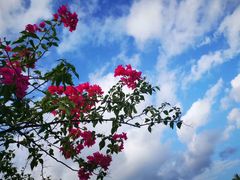 -三亚珠江南田温泉度假区