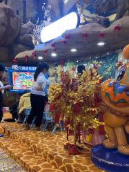 -卡通尼·Safari非洲探索乐园·生日会(金桥国际商业广场店)