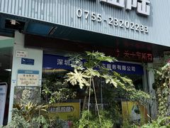 -壹伍陆连锁汽车维修美容(宝安中心区店)