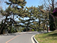 -棒棰岛宾馆景区