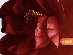 -Chanel(德基广场店)