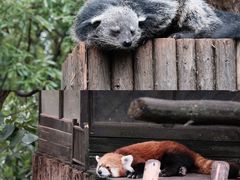 -云南野生动物园