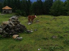 -硗碛藏寨·神木垒景区