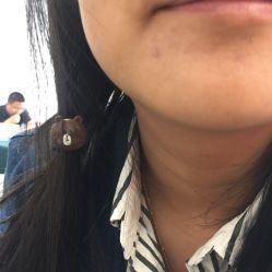 -阿三造型