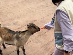 -长鹿旅游休博园